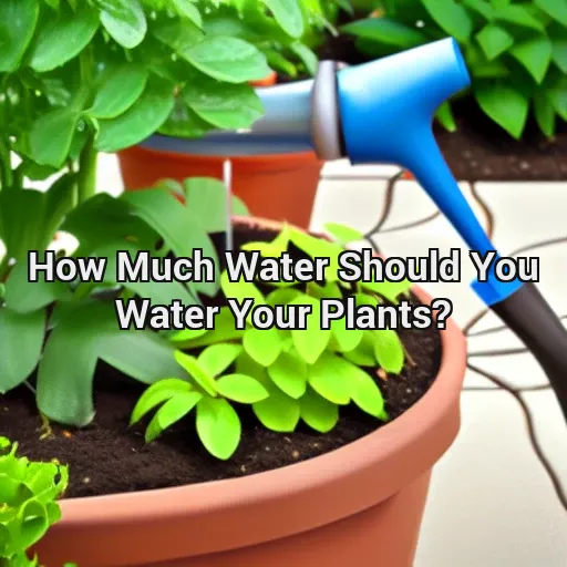 How Much Water Should You Water Your Plants?